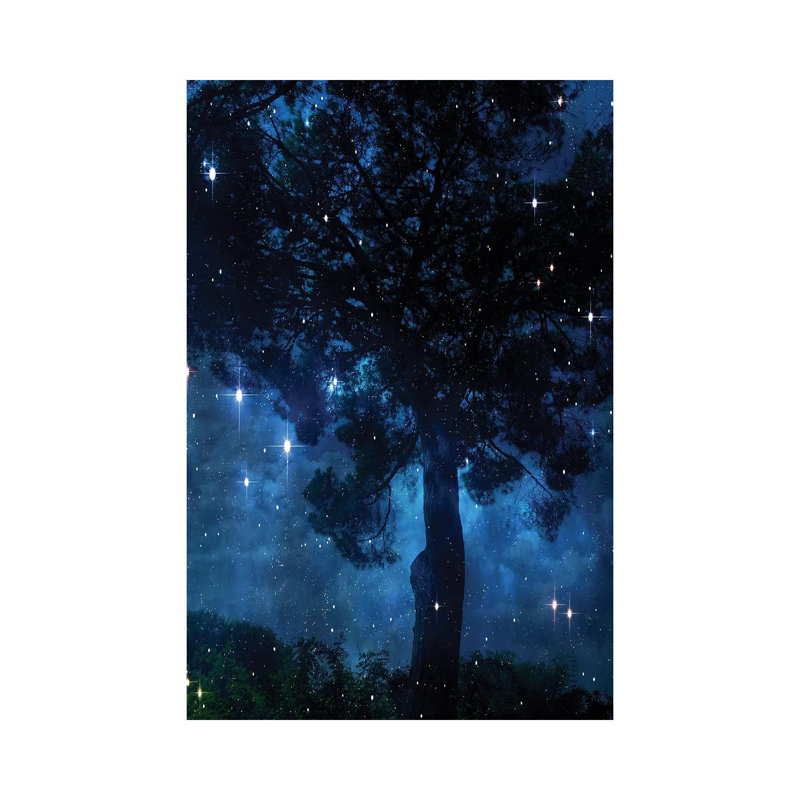 Midnight Sky II by Irena Orlov - Wrapped Canvas Print, 20.32 cm H x 30.48 cm W