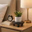 Ensemble de 2 supports pour plantes et supports pour plantes d'intérieur Grigoriy, présentoirs à plantes à piédestal moderne-372554791-358073038