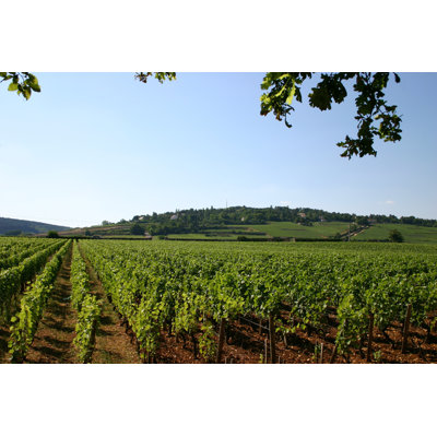 Burgundy Scenery - Wrapped Canvas Print