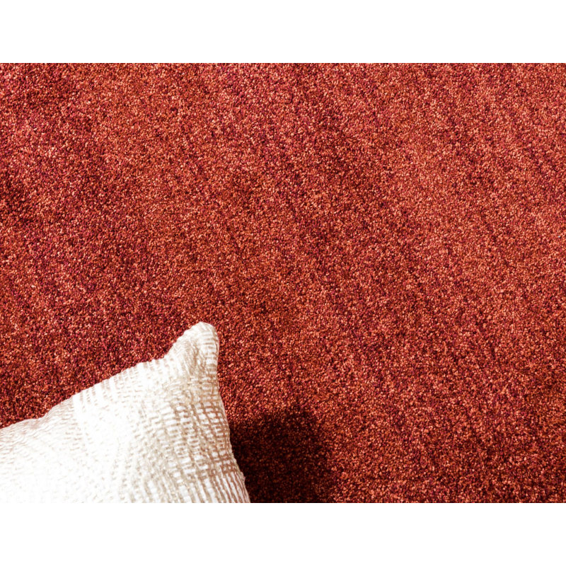 Dejourn Hand Woven Area Rug, Rectangle 66 x 91cm