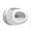 1-Piece 1.28 Gpf Single Flush Egg Shape Toilet In Glossy White