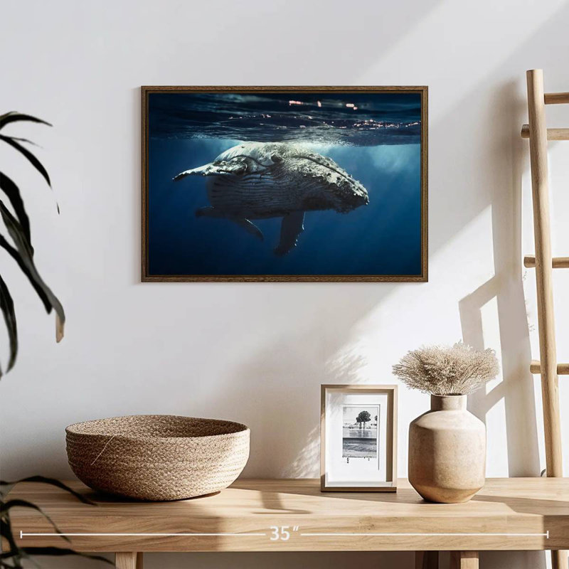 Baleine écumante, 19 po x 13 po, Cadre flottant noyer
