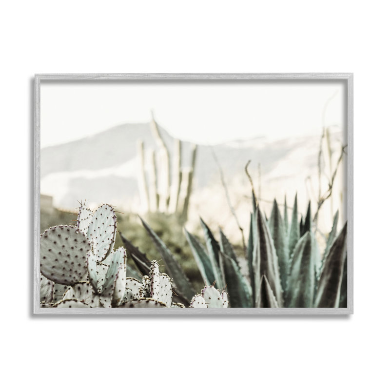 «Desert Cacti», photographie encadrée sur bois par Krista Broadway, H 11 po x l 14 po x P 1,5 po, Estampe numérique Farmhouse