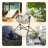 Folding Camping Chair-1833240485