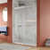 Concord 56" - 60" W x 76" H Double Sliding Frameless Shower Door with 3/8" Tempered Glass, Stainless Steel Accessories