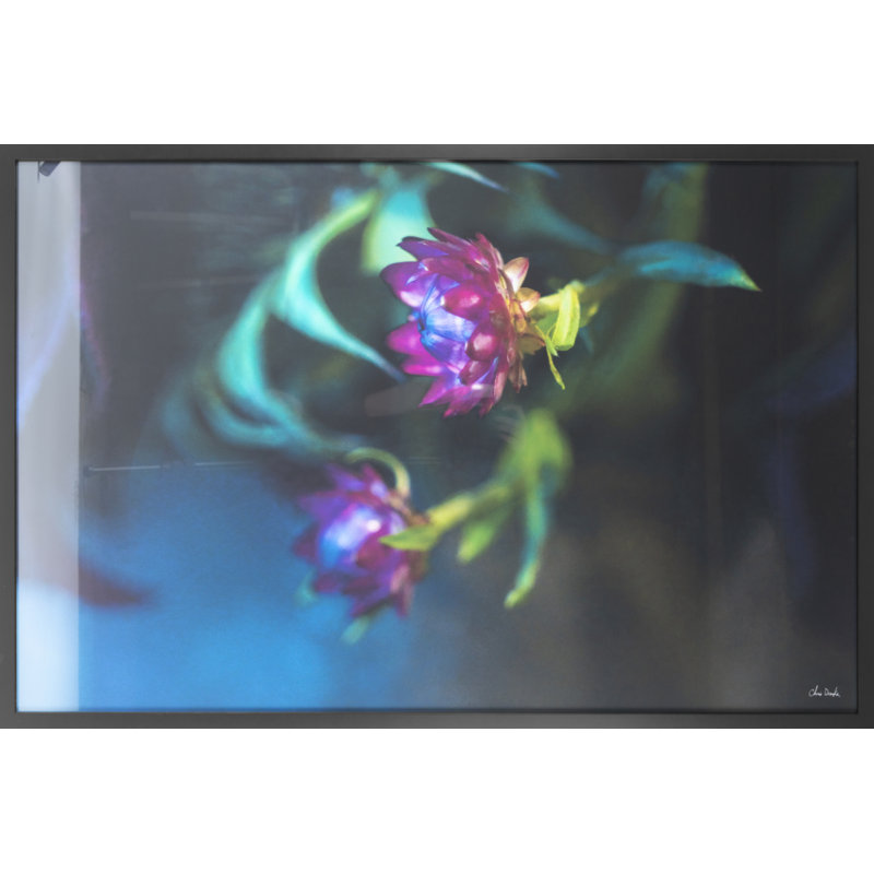 Botanical Arrangement 2 Print by Chris Dunker, 35" H x 50" W