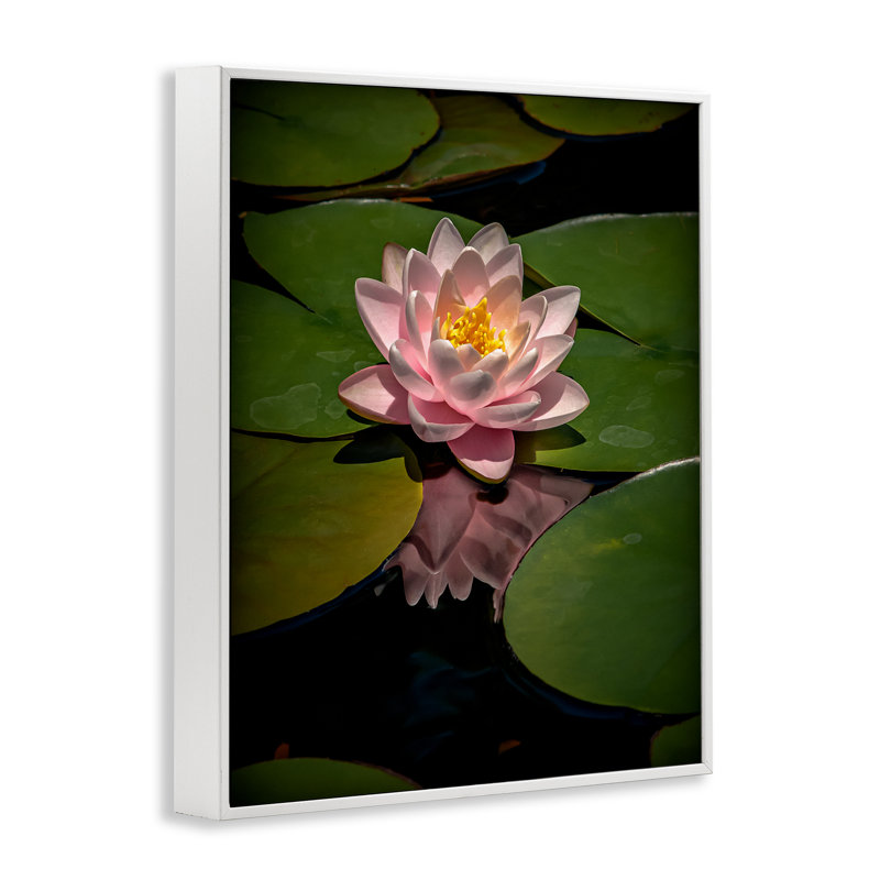 «Lotus Parmi Lily Pads», giclée encadrée, design par Phillip Flowers, H 14 po x l 11 po