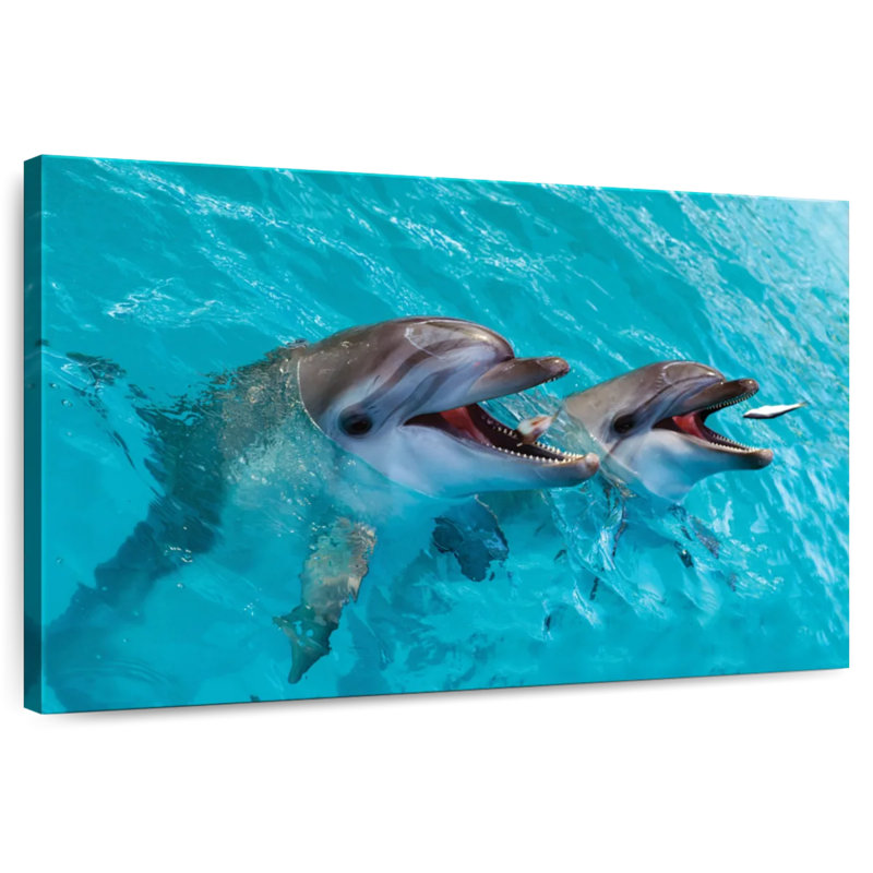 Brampt Cute Dolphins, 24" H x 36" W