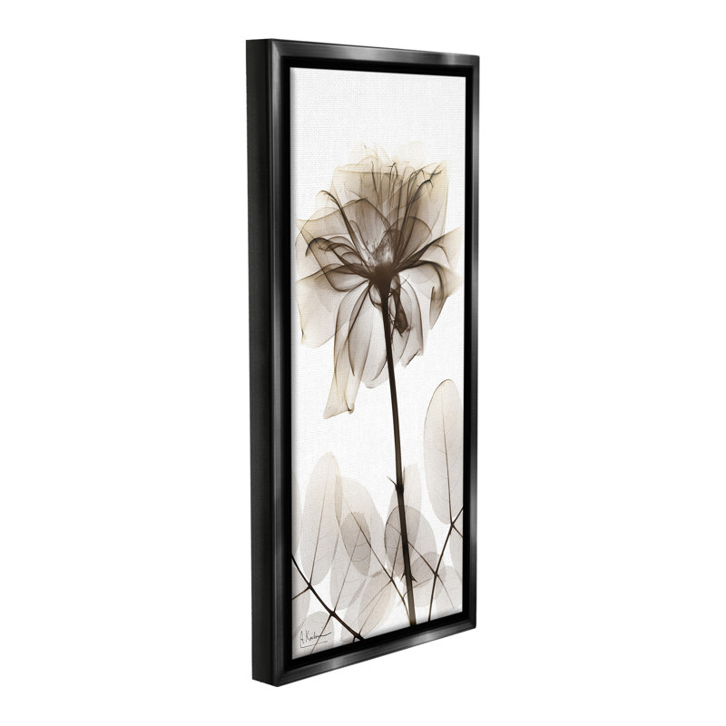 «Blooming Opaque Flower Floater Frame» par Albert Koetsier sur, Cadre flottant noir de jais, H 31 po x l 14 po