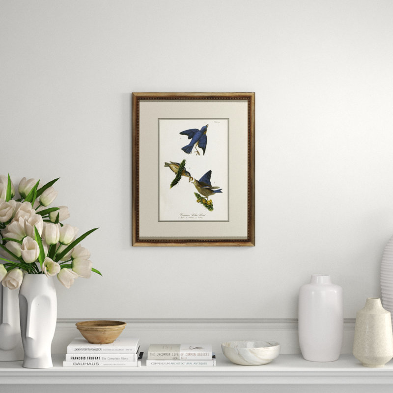 Common Blue Bird Print