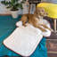 Quilted Luxurious Pet Bed with Cosy Roll Out Blanket -920182323