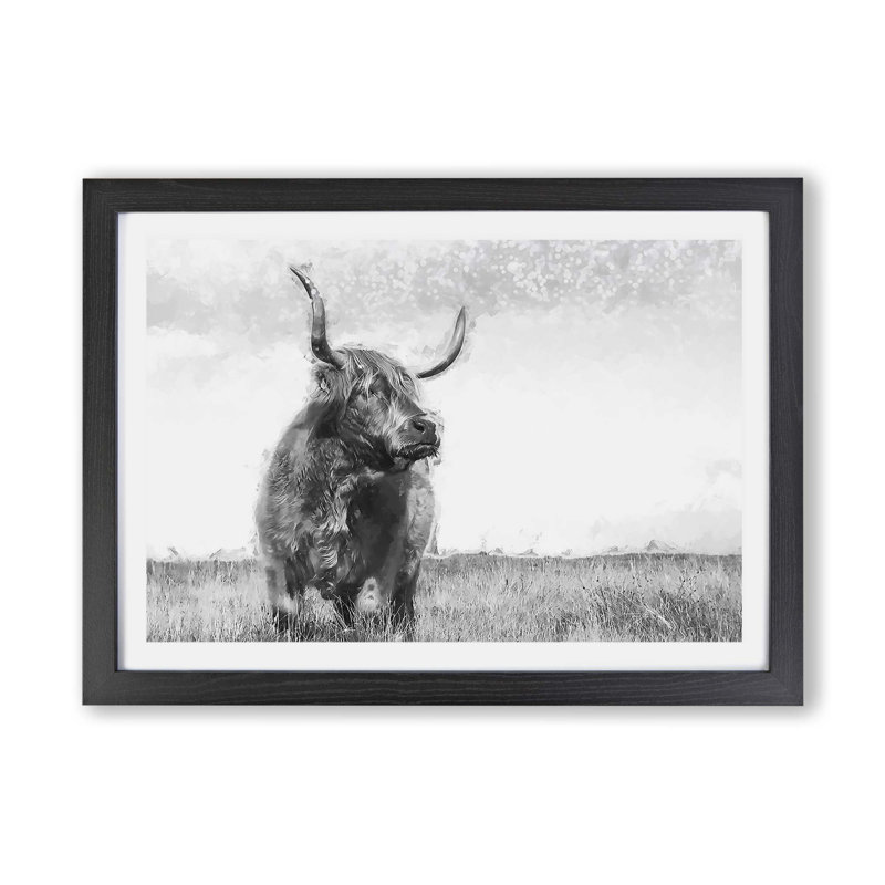 Highland Cow - Framed Print, 33cm H x 45cm W x 2cm D, Black
