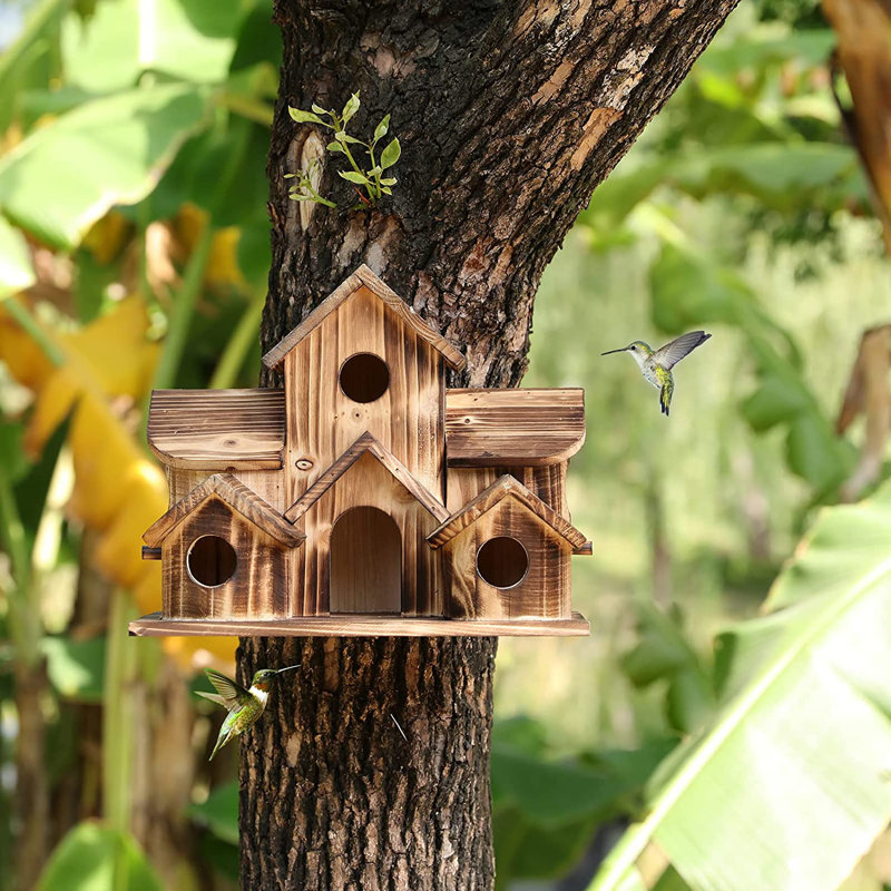 Maison d'oiseaux 9 po x 11 po x 7 po Adio