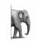 «Elephant Study» par Terry Fan - impression-52991141-52991142-52991150