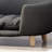Howse Orthopedic Polyester Pet Bed-1695912613