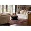 Fudo Round Coffee Table-726014859