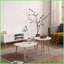 Modern Egg Shape Coffee Table for Living Room, Easy Assembly &amp; 790mm Ample Surface