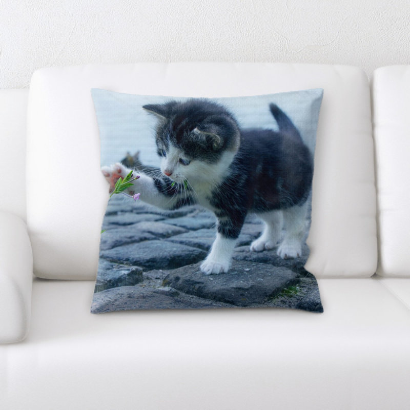 Coussin pour chat
