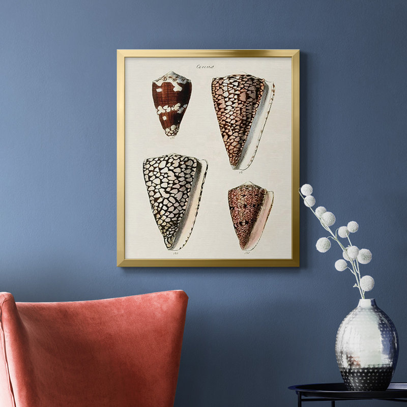 Cone Shell Collection I, toile encadrée de qualité supérieure - prête à être accrochée, Or, H 20 po x l 16 po