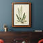 Toile encadrée de qualité supérieure Curtis Ferns III - prête à être accrochée-1258541545
