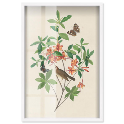 Art botanique orange à motif d'azalée orange par Art Remedy