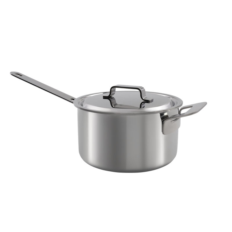 Professional Secrets Non-Stick Stainless Steel Standard Pot, 3 Litres