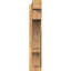 Sapin Douglas-114073892-109296146