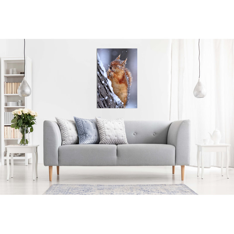 Chilly Cute Red Squirrel Wildlife Artistic - Wrapped Canvas Art Prints, 91cm H x 61cm W