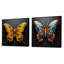 «Butterfly Expressionist Freedom» - Ensemble de 2 insectes et insectes carrés-1622876335-1622876340