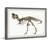 Brooten 'T-Rex Fossil' Framed Print-789865796