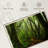 Alvord Mossy Nepal Jungle-107702167