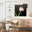Tulipes blanches Harnek