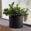 Pot à fleurs rond intérieur / extérieur en plastique moderne avec soucoupe-1944428763-1933896356
