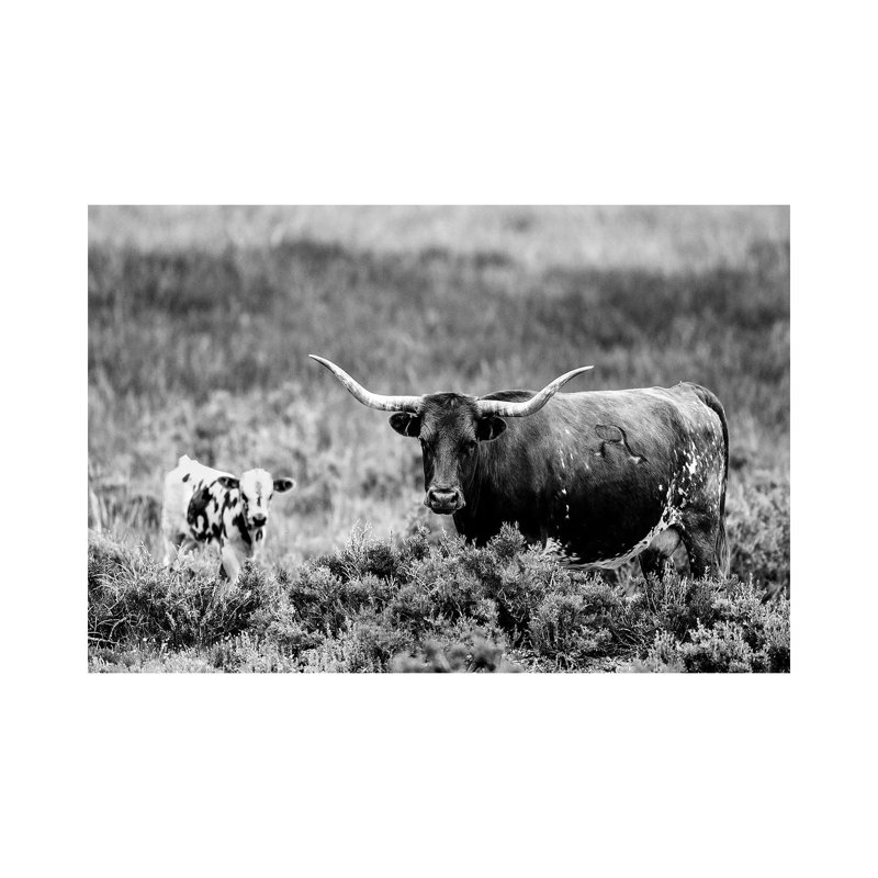 B&W Longhorn II by Tyler Stockton - Wrapped Canvas Print, 66.04 cm H x 45.72 cm W x 1.91 cm D