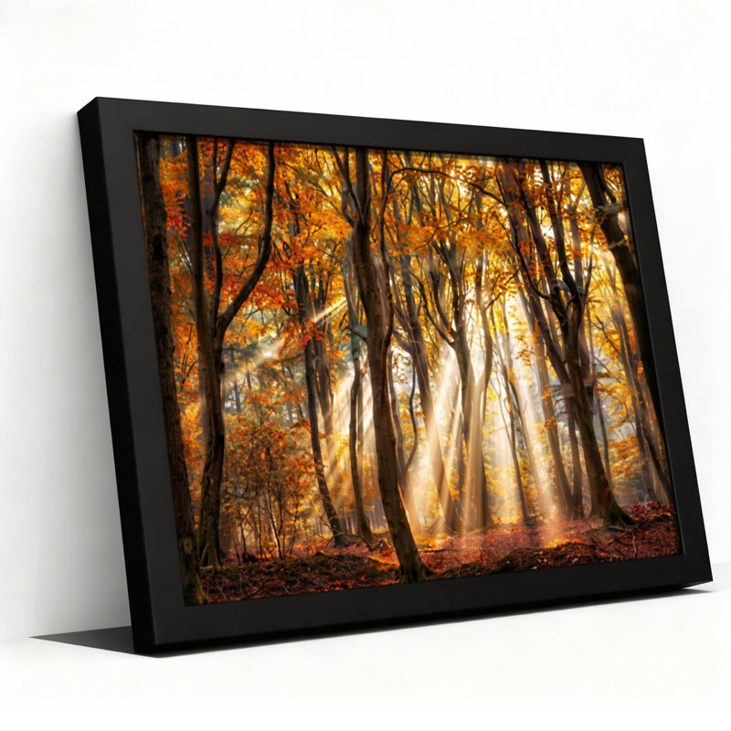Ensemble de 1 tableau sur toile tendue représentant une forêt d'automne au soleil, H 24 po x l 36 po, Cadre photo unique