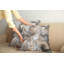 Housse carrée pour coussin rétro couleur paintbrush Marble-25017493