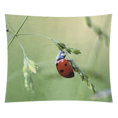 Tapisserie coccinelle