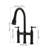 Bridge Kitchen Faucet With Pull-Down Sprayhead In Spot