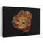 Art contemporain abstrait coquelicot-1052979603