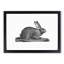 Illustration of a Hare - Framed Print-55579410-55579411