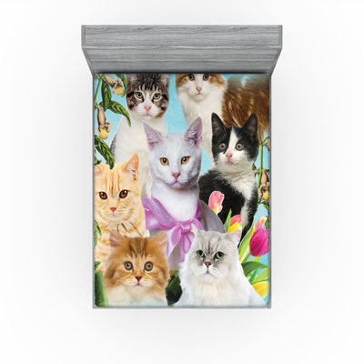 Ambesonne Cat Lover Fitted Sheet 2-Pack Cats Feline Domestic Multicolor