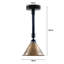 Schweiger 1 - Light Black Single Pendant