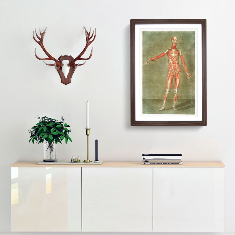 Anatomical Illustration of a Male No. 2 by Gautier-Dagoty - Picture Frame Painting Print, 48cm H x 36cm W x 2cm D