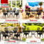 Patio Dining Set Table,-1542057960