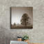 «Stillness» par PhotoINC Studio-333949567
