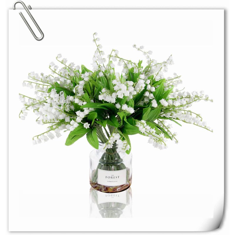 Orchid Arrangement