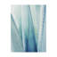 Reproduction de photo sur toile, "Pale Blue agave no. 1" par Lupen Grainn-reproduction de photo sur toile