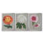 Chrysanthemum On Grey I - Ensemble de 3 peintures sur toile encadrées-1947944965-1947944971