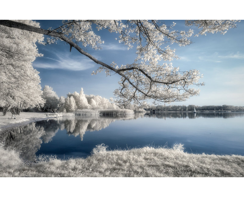 Wrapped Canvas Print, 50.8 cm H x 76.2 cm W
