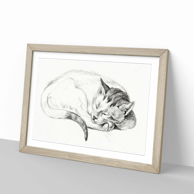 Sleeping Cat by Jean Bernard - Picture Frame Drawing Print, 48cm H x 65cm W x 2cm D, Oak Framed